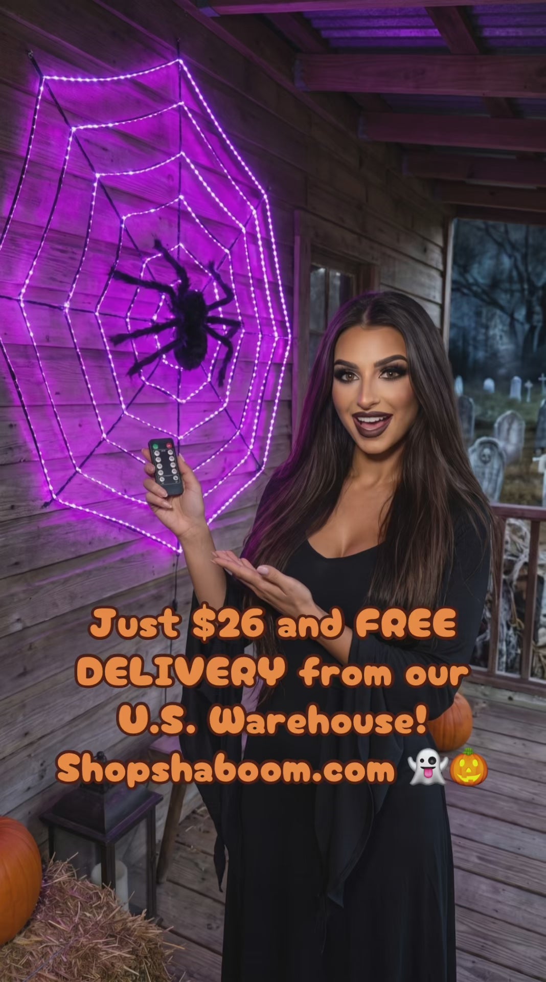 LED Light Up Spiderweb - with remote (ships fast from US warehouse!)